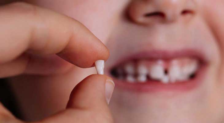 رویش دندان شیری و دائمی
